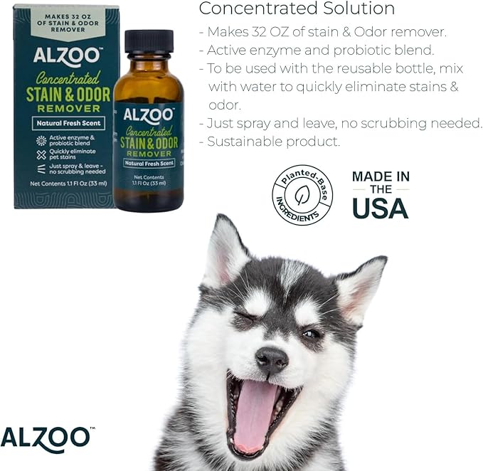 Concentrated Stain & Odor Remover Refill Bottle, 100% Plant-Based Active Ingredients, 1.1 Fl. Oz, Pack of 3