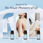 JCLOUD Essential Oils for Laundry, Clean Scent Fragrance Oils Set, Use with Wool Dryer Balls - Fresh Linen, Soft Laundry, Warm Cotton Essential Oils for Diffusers for Home, Natural Fresh Scent, 6x10mL