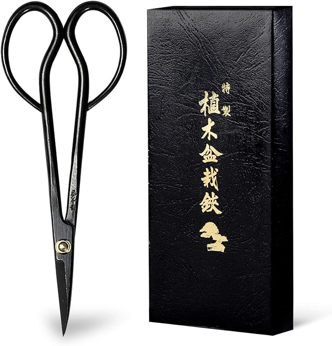 Wazakura Satsuki Bonsai Scissors Made in Japan 7 inch (180 mm), Japanese Bonsai Garden Tools, Hasami Pruning Shears