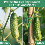 2 Packs Garden Twine, 196Ft Soft Garden String Green, Stretchy Plant Ties for Supporting and Tying Climbing Plants, Outdoor Plants, Tomatoes, Fruit Trees, Gardeners(98 Feet/Roll)