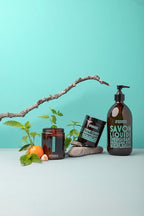 Compagnie de Provence Savon de Marseille Apothicare Liquid Soap, Mint Basil, 16.7 Fl Oz Glass Pump Bottle