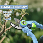 DELIXI Pruning Shears Anvil Garden Clippers, 1/2-Inch Cut Capacity Hand Pruners, Stainless Steel Blade with Non-Stick Coating, Ergonomic Small-Hand Design for Dry and Hard Branches