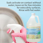 Ginger Lily Farms Botanicals Plant-Based Foaming Spray Dish Soap, Concentrated Formula with Max Grease Cleaning Power, Cruelty-Free, Fragrance-Free, 1 Gallon Refill (128 Fl Oz)