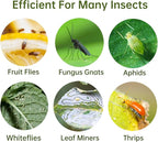 96 Pack Fruit Fly Trap for Indoors, Fungus Gnat Killer Indoor Sticky Traps for Mosquito, Bug Insect Catcher Killer for Houseplant