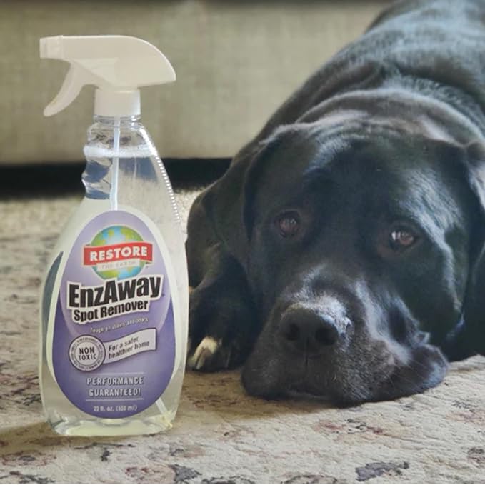 Restore Naturals Enzaway Carpet Spot Cleaner - 22oz - Pet Stain Remover Spray for Carpet - Gentle, Non-Toxic Stain Remover | Cruelty-Free | Made in USA - 3 Pack