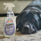 Restore Naturals Enzaway Carpet Spot Cleaner - 22oz - Pet Stain Remover Spray for Carpet - Gentle, Non-Toxic Stain Remover | Cruelty-Free | Made in USA - 3 Pack