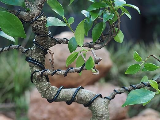 Black-3.5-Anodized Aluminum Bonsai Training Wire 250g Large Roll,Many Size to Choose,KSVZS Bendable Metal Wire for Crafts,Sculpting,Armature and Daily Use,Necessities for Family
