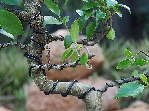 Black-1.0-Anodized Aluminum Bonsai Training Wire 250g Large Roll,Many Size to Choose,KSVZS Bendable Metal Wire for Crafts,Sculpting,Armature and Daily Use,Necessities for Family
