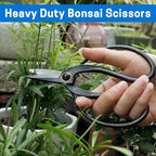 VISEMAN Japanese Bonsai Pruning Scissors-KinTakashi Gardening Shears for Bonsai Trimming