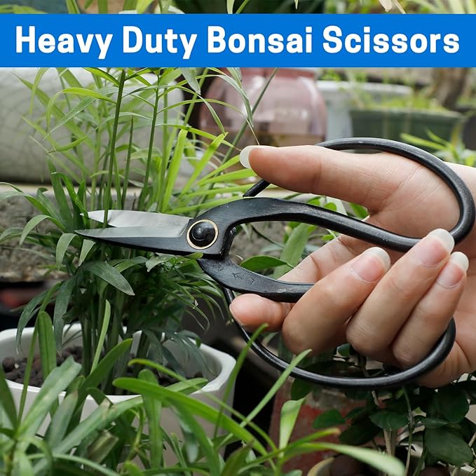 VISEMAN Japanese Bonsai Pruning Scissors-KinTakashi Gardening Shears for Bonsai Trimming
