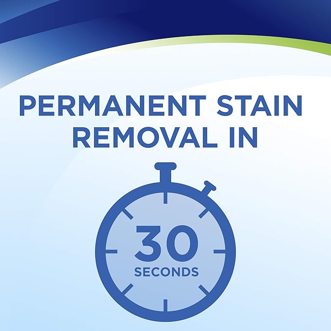 Bissell Woolite InstaClean Pet Full Size Machine Formula, 32 oz, 20581