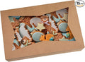 15-PACK Brown Pastry Bakery Box 12x8x3inch,Large Donuts,Muffins,Cookies Boxes with PVC Window - Auto-Pop up Nature Kraft Paper Box Container,Pack of 15 (Brown, 15)