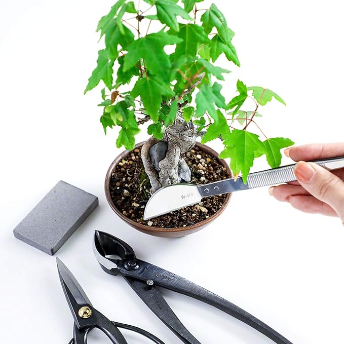 Wazakura 4PCS Bonsai Essential Tool Kit MADE IN JAPAN, Japanese Bonsai Scissors 7inch(180mm) + Concave Branch Cutter 8inch(200mm) + Stainless Tweezers + Sap Eraser Set