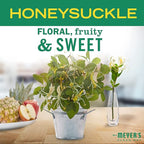 Mrs. Meyer's Dish Variety Pack Scent, 1 Dish Soap, 1 Dish Soap Refill, 2 CT