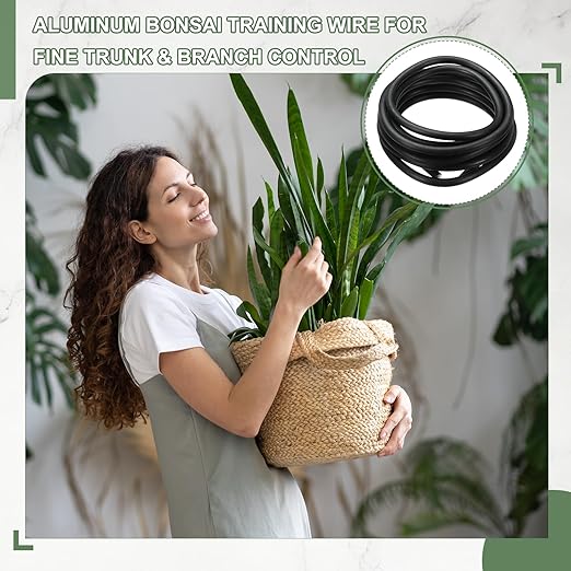 Bonsai Training Wire, 8mm x 9.8 ft Anodized Aluminum Floral Plant Training Wire Bendable Metal Stems Accessories for Gardening Branch Fixing Crafts (Black)