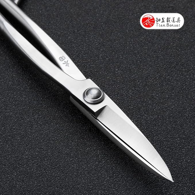 Bonsai Scissors Professional Grade Bonsai Shears Alloy Steel Bonsai Tools Equip With Tool Bag (MT-LBS-210)
