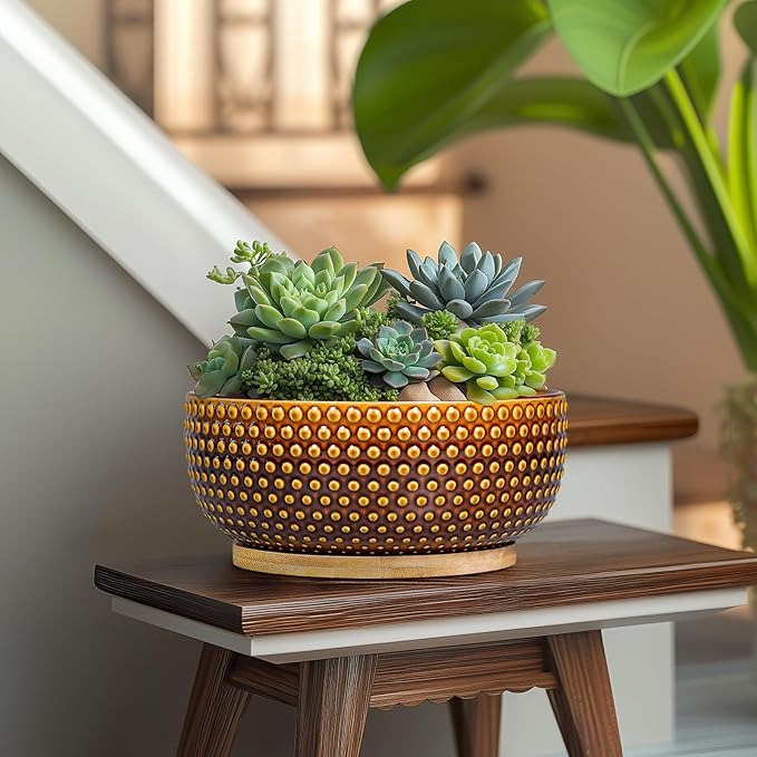 Bonsai Pots - 8 Inch Succulent Bowl for Indoor Plant, Shallow Round Ceramic Planters with Drainage Hole and Saucer, Boho Home Room Office Apartment Decor, Plant Lovers Gifts, Brown