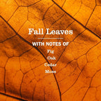 Mrs. MEYER'S CLEAN DAY Multi-Surface Everyday Cleaner, Fall Leaves Scent, 16 Fl Oz Bottle - 3 Pack