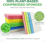 Compressed Cellulose Sponges - 32 Pack Natural Pop Up Dish Sponge for Kitchen - Compostable Plant-Based Cleaning Sponges Bulk – Non Scratch Natural Sponge for Dishes & Household Cleaning