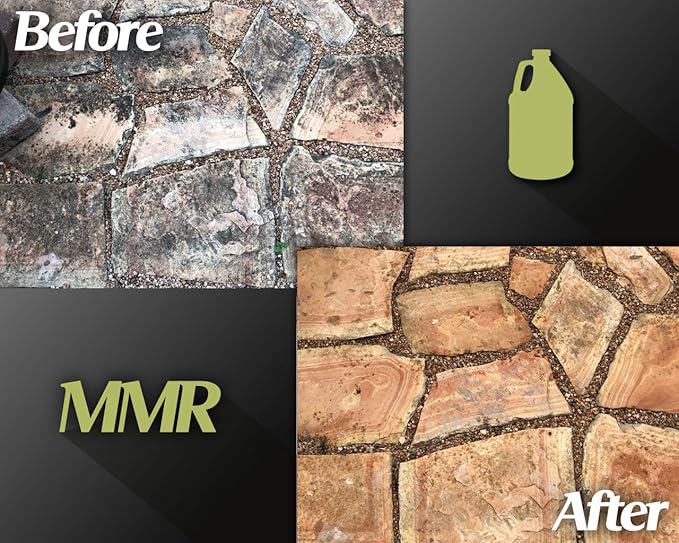 Bad Axe MMR Instant Mold Stain and Mildew Stain Remover - Professional Strength, Contractor Grade Cleaning Solution, Professional Quality Formula, Odor Removal, 1 Gallon (4)