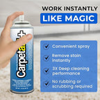 Carpet Aid Spot and Stain Remover, pH Balanced Cleaner for Carpets, Rugs, and Upholstery – Removes Oil, Grease, Ink, Coffee, Pet Urine, and Lipstick