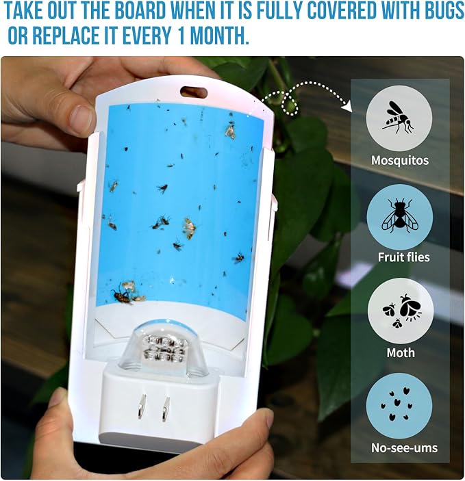 Flying Insect Trap, Indoor Plug-in Fly Trap for Home, Mosquito Killer Indoor Gnat Moth Catcher with Night UV Light, Mosquito Attractant Fly Bug Zapper for Home, Office (10 x Refills)