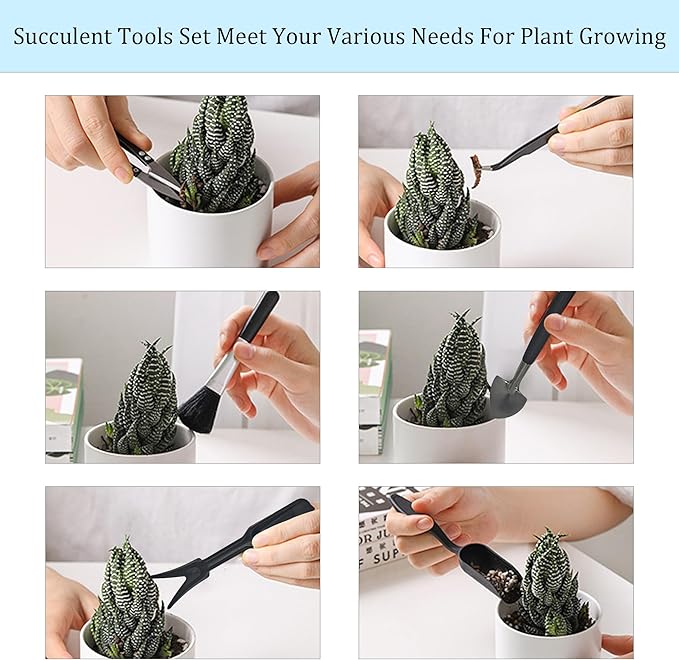 13Pcs Succulent Tools Set Mini Garden Tools Kit for Indoor Bonsai Cactus Care with Pruning Shears Scissors Transplanting Tools for Houseplant