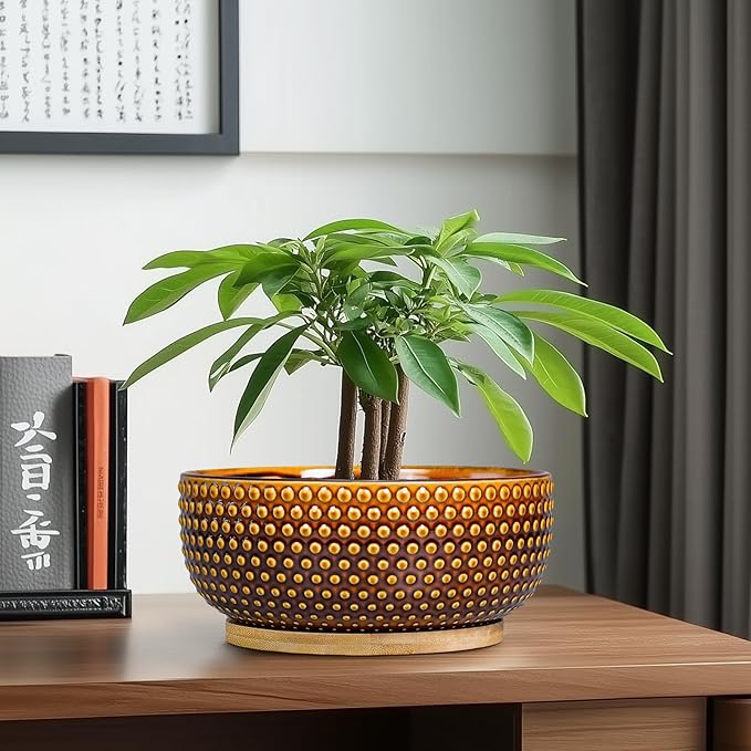Bonsai Pots - 8 Inch Succulent Bowl for Indoor Plant, Shallow Round Ceramic Planters with Drainage Hole and Saucer, Boho Home Room Office Apartment Decor, Plant Lovers Gifts, Brown