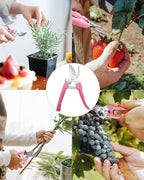 Pruning Shears for Gardening, 1 Pack Garden Scissors for Cutting Fresh Flowers, Floral Clippers for Plants, Fruits (Pink)