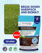 Accelerator by Dr. Pooper® – Hardpack Cleaner Tablets for Septic Systems | Breaks Down Hardpack & Boosts Drain Field Absorption | 20 Tablets - Use with our tool kit — available separately