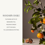 Homecourt Dish Soap, Dishwashing Liquid with Clean Ingredients, Non-Toxic & Skin-Safe, Safe for People & Pets, Mandarin Basile, 16 fl oz