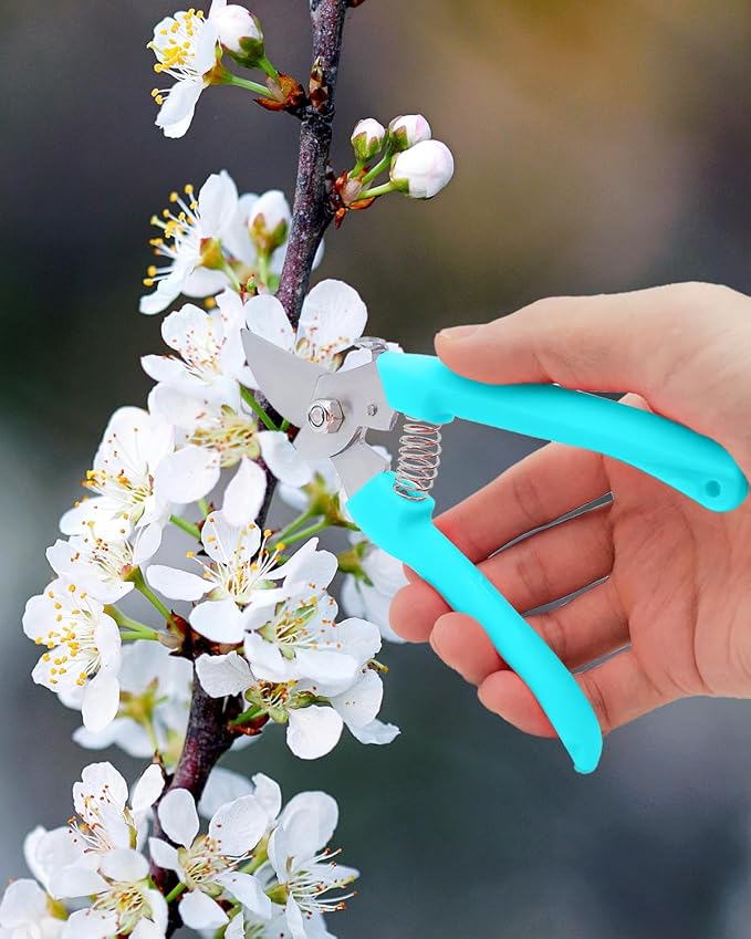 Pruning Shears for Gardening, 2 Pack Garden Scissors for Cutting Fresh Flowers, Floral Clippers for Plants, Fruits (Blue)