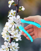 Pruning Shears for Gardening, 1 Pack Garden Scissors for Cutting Fresh Flowers, Floral Clippers for Plants, Fruits (Blue)