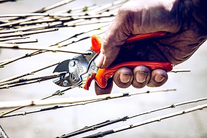 Original LÖWE 5 Professional Anvil Pruning Shears 5.107 with Stainless and Non-Stick Coated Steel Blade - Handy and Lightweight Pruning Shears Ideal for Cutting Apple Trees, Pear Trees & Orchard Work
