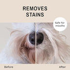 Eye Envy Beard Stain Remover Spray for Dogs/Cats. 100% Natural, Safe. Remove Stains from Drooling, Saliva, Food, Runoff from Tearing. Treats The Cause. Removes Odors. Keeps Dog Beards Clean. 4oz