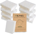 12 Pack Dishwashing Sponges Natural Cellulose Sponges Plant Based Resilient and Reusable Soft Dish Sponges for Washing Dishes DIY Craft Sponge for Fun
