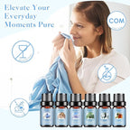 Clean Essential Oils Set, Laundry Collection Essential Oils Set, Pack of 6 Fragrance Oil for Diffuser for Home, Use with Wool Dryer Balls Scents - Fresh Linen, Clean Breeze, Eucalyptus and Cotton