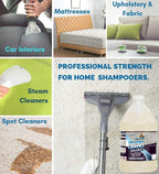 Chem-Girl Deep-Clean Carpet Shampoo Concentrate | Brightens + Freshens + Removes Stains & Odors | For Carpet Shampooers, Pet Stain Removers, Steamers & Extraction Machines - 1 Gallon
