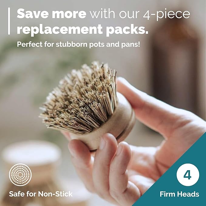 Jungle Culture Firm Bristle Replacement Brush Heads for Eco Dish Brushes • Wooden Kitchen Washing Up Brush Heads Pack of 4 • Interchangeable Bristle Refills • Dish Scrubbers • Zero Waste Cleaning