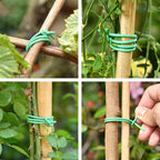 Green Soft Twist Tie Tomato Plant Tie TPR Garden Supply, for Supporting Plants and Home Organizing (65.6 feet/20 Meters)