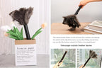 Retractable Ostrich Feather Duster for Cleaning, 15 Inch Fluffy and Natural Feather Duster with Retractable Handle， Reusable Eco-Friendly Handheld Cleaning Supplies (10 pcs)