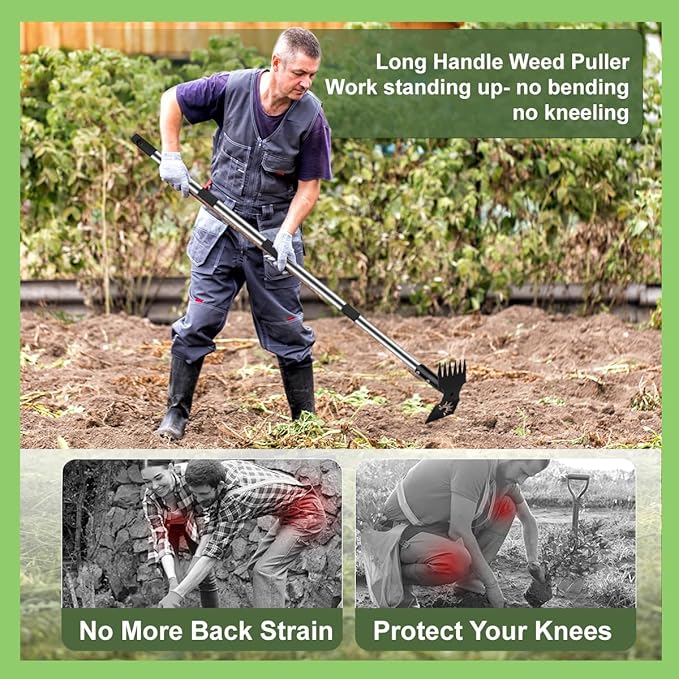 Weed Puller Tool with Long Handle, 60inch Manual Weeder Remover Tool, Stainless Steel 2 in 1 Hand Weed Rake for Gardening, Heavy Duty Uprooting Weeding Pull for Garden, Lawn,Yard, Patio