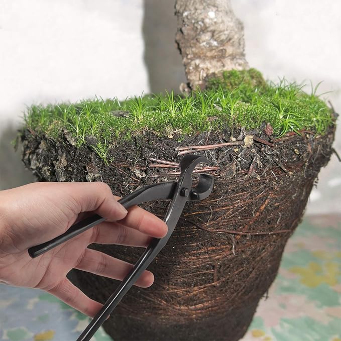 BambooMN 7.5" Root Cutter Tool - 30 Units