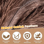 Extendable Ostrich Feather Duster with 19-49 inch Rotatable Stainless Steel Pole, Natural Feather Duster for Ceiling Fan Cobweb Dusting, Reusable Flexible Cleaning Duster(Include 1 Replacement Heads)