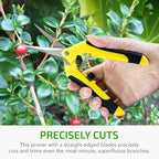 iPower 6.5 Inch Gardening Hand Pruner Pruning Shears Trimming Scissors with Straight Stainless Steel Blades for Bonsai, Herb, Bud, Hedge, 4-Pack, Yellow