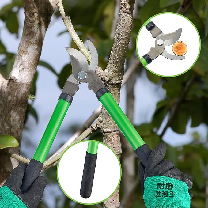 Pro Pruning Shears - Heavy Duty Garden Shears with SK-5 Steel Blades, Ergonomic Non-Slip Handle Tree Branch Cutter & Flower Arranging Tool