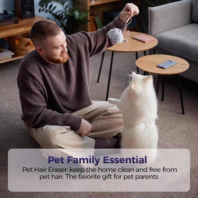 Pet Hair Handheld Vacuum Cordless: 20000PA High Power Car Vacuum with Motorized Brush and LED Light, Rechargeable Hand Held Vacuum Cleaner with Reusable Filter for Car, Home, Office & Pet, Blue