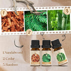 Woody Essential Oils Set, Fragrance Oil Set for Diffuser, Scent Diffuser Oil for Candle Making- Sandalwood, Cedar, Bamboo, Teak, Vetiver, Forest Pine