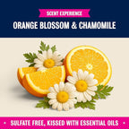 Rebel Green Pants & Wags Spritz, Sparkle & Shine Essential Oil Spray - Orange Blossom & Chamomile - Hypoallergenic - No Dyes or Perfumes - 8 oz - 2 Pack