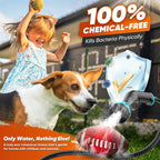 Steam Cleaner, 2500W Heavy Duty Pressurized Handheld Steamer with Built-in 1.32 qt Water Tank & 10 Accessories – for Kitchen, Bathroom, Car, Floors, Furniture, Tile & Windows (Black/White)